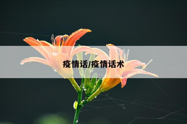 疫情话/疫情话术
