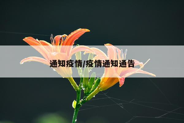 通知疫情/疫情通知通告
