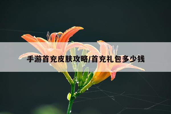 手游首充皮肤攻略/首充礼包多少钱