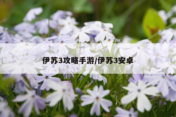 伊苏3攻略手游/伊苏3安卓