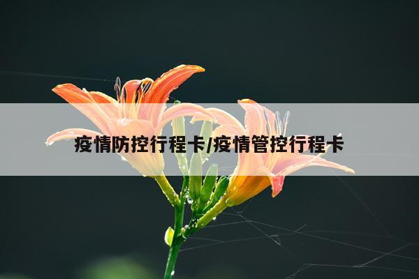 疫情防控行程卡/疫情管控行程卡
