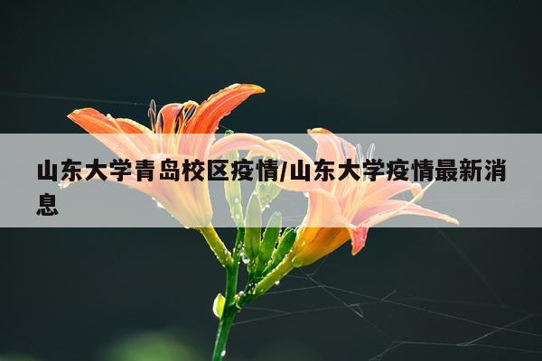 山东大学青岛校区疫情/山东大学疫情最新消息