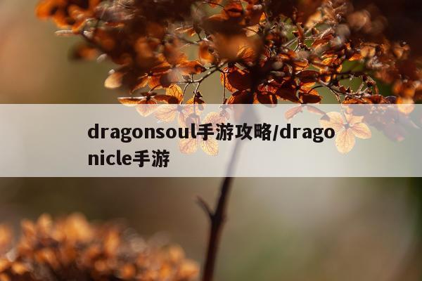 dragonsoul手游攻略/dragonicle手游