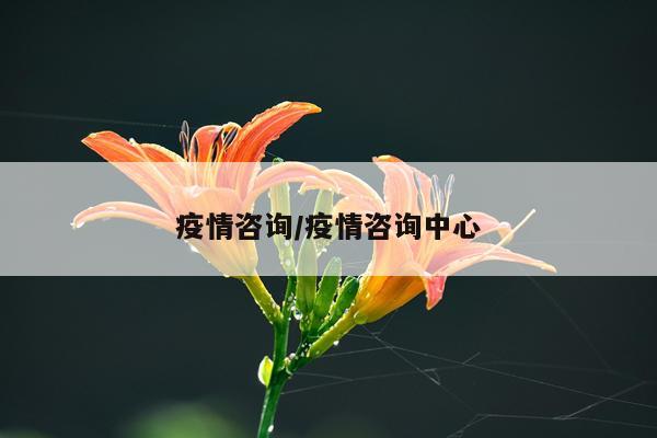 疫情咨询/疫情咨询中心