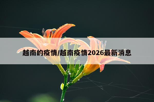 越南的疫情/越南疫情2026最新消息