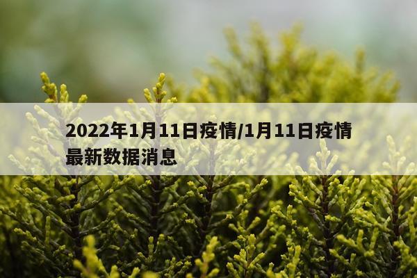 2022年1月11日疫情/1月11日疫情最新数据消息