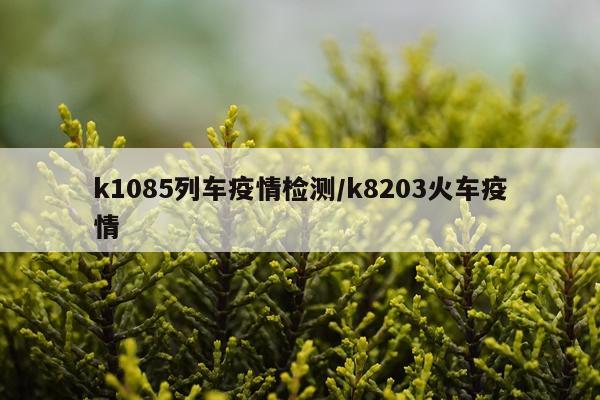 k1085列车疫情检测/k8203火车疫情