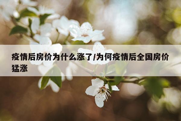 疫情后房价为什么涨了/为何疫情后全国房价猛涨
