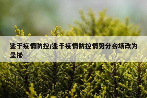 鉴于疫情防控/鉴于疫情防控情势分会场改为录播