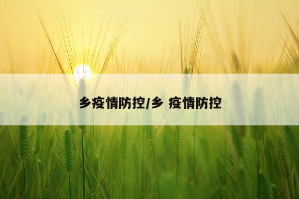 乡疫情防控/乡 疫情防控