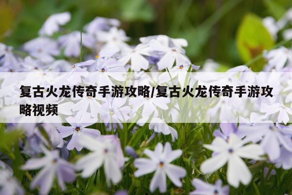 复古火龙传奇手游攻略/复古火龙传奇手游攻略视频