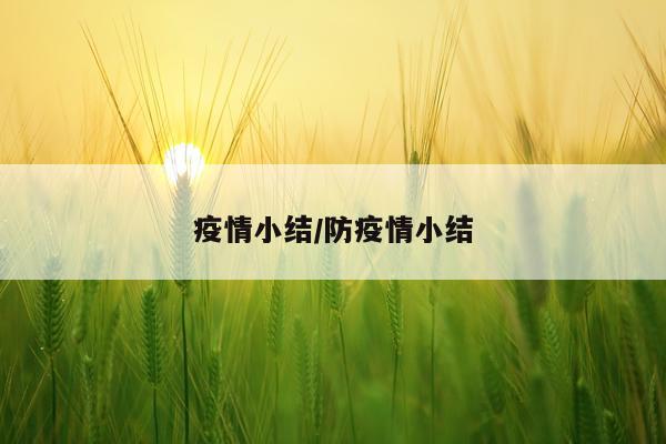 疫情小结/防疫情小结