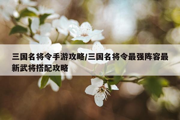 三国名将令手游攻略/三国名将令最强阵容最新武将搭配攻略