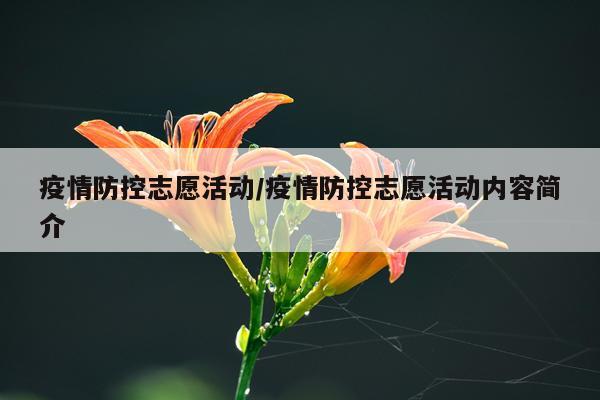 疫情防控志愿活动/疫情防控志愿活动内容简介