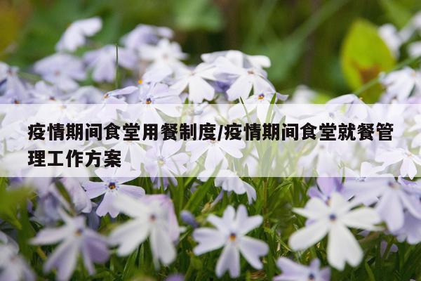 疫情期间食堂用餐制度/疫情期间食堂就餐管理工作方案