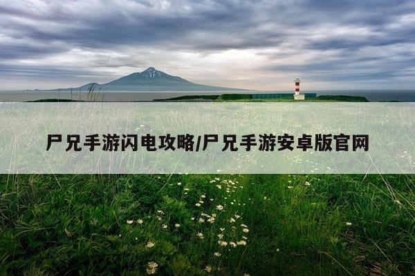 尸兄手游闪电攻略/尸兄手游安卓版官网