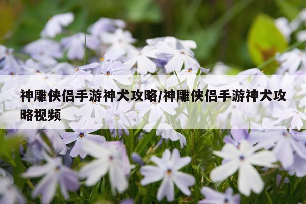神雕侠侣手游神犬攻略/神雕侠侣手游神犬攻略视频