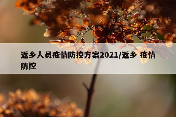 返乡人员疫情防控方案2021/返乡 疫情防控