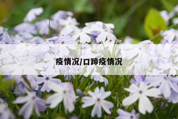 疫情况/口蹄疫情况