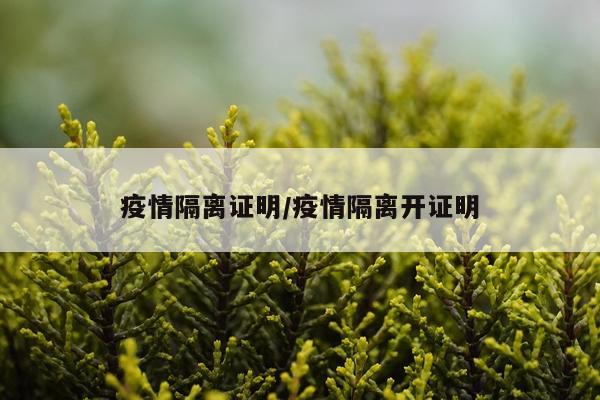 疫情隔离证明/疫情隔离开证明