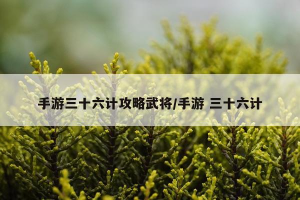 手游三十六计攻略武将/手游 三十六计