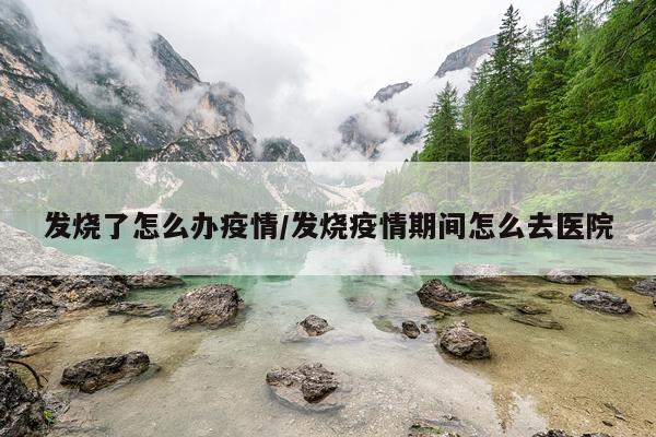 发烧了怎么办疫情/发烧疫情期间怎么去医院