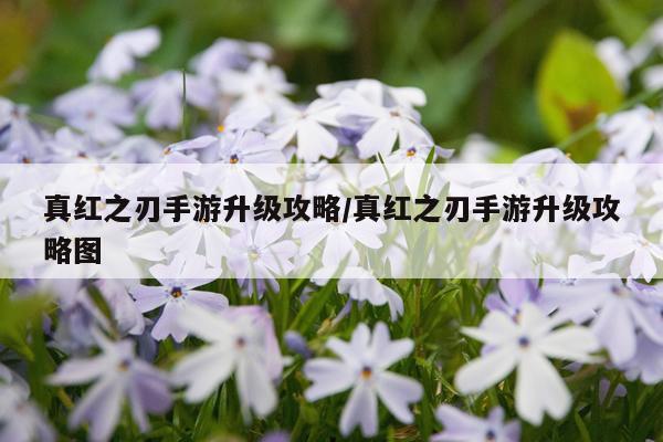 真红之刃手游升级攻略/真红之刃手游升级攻略图