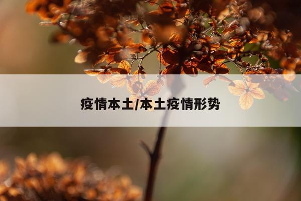 疫情本土/本土疫情形势