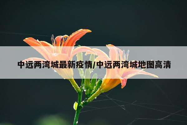 中远两湾城最新疫情/中远两湾城地图高清