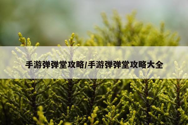 手游弹弹堂攻略/手游弹弹堂攻略大全