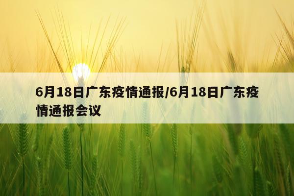 6月18日广东疫情通报/6月18日广东疫情通报会议