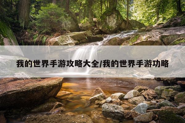 我的世界手游攻略大全/我的世界手游功略