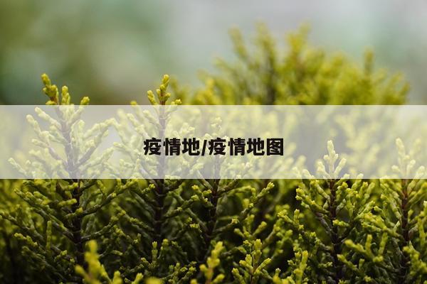 疫情地/疫情地图