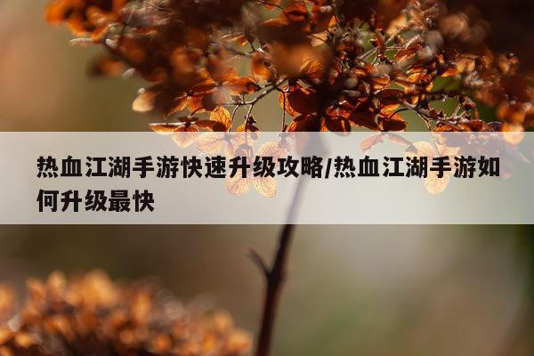 热血江湖手游快速升级攻略/热血江湖手游如何升级最快