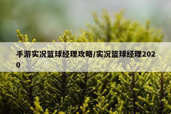 手游实况篮球经理攻略/实况篮球经理2020