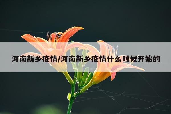 河南新乡疫情/河南新乡疫情什么时候开始的