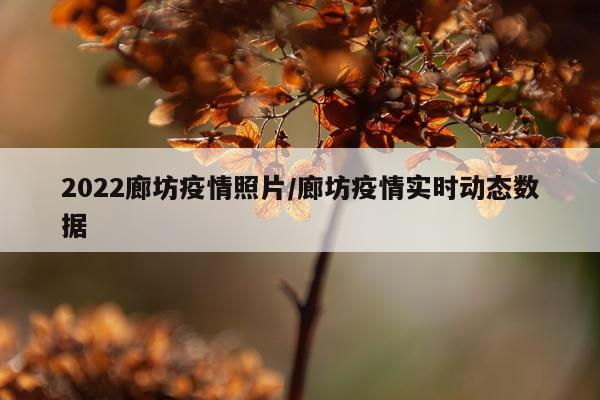 2022廊坊疫情照片/廊坊疫情实时动态数据