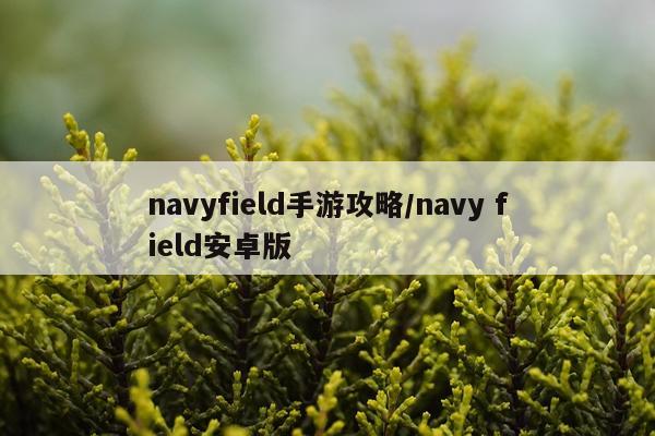 navyfield手游攻略/navy field安卓版