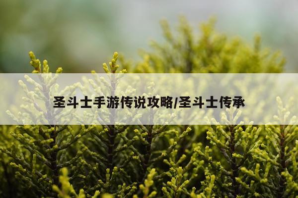 圣斗士手游传说攻略/圣斗士传承