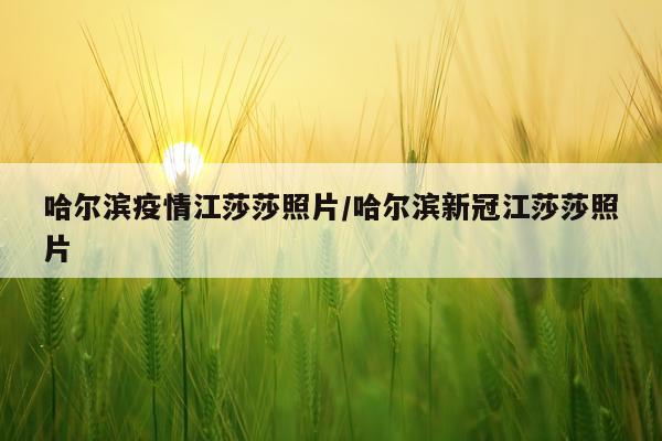 哈尔滨疫情江莎莎照片/哈尔滨新冠江莎莎照片