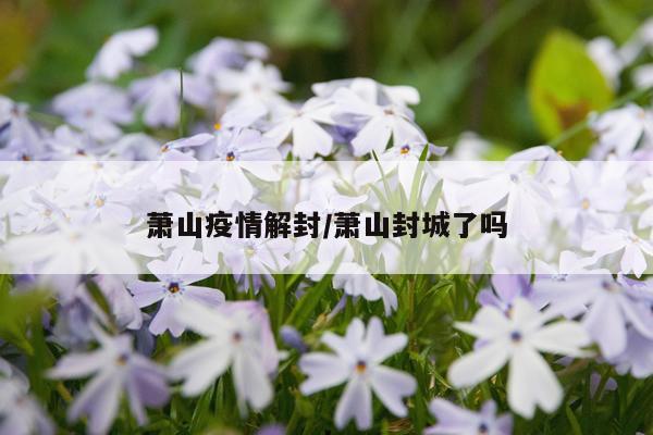 萧山疫情解封/萧山封城了吗