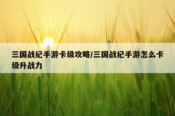 三国战纪手游卡级攻略/三国战纪手游怎么卡级升战力