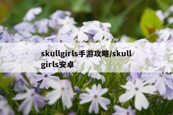 skullgirls手游攻略/skullgirls安卓