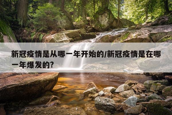 新冠疫情是从哪一年开始的/新冠疫情是在哪一年爆发的?