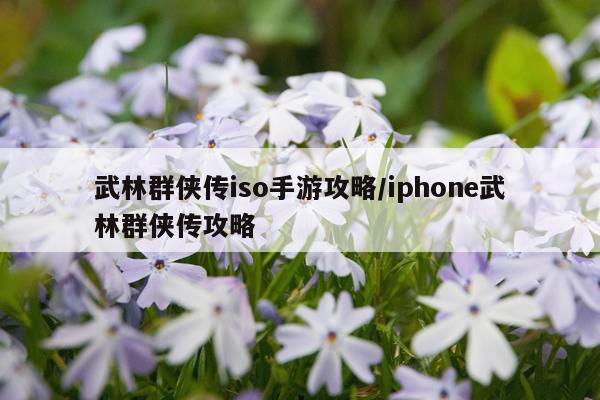 武林群侠传iso手游攻略/iphone武林群侠传攻略