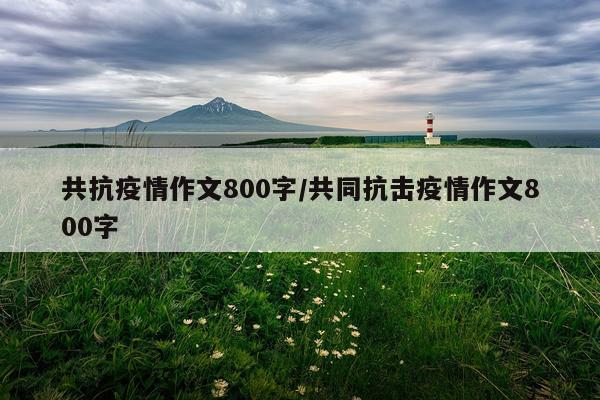 共抗疫情作文800字/共同抗击疫情作文800字