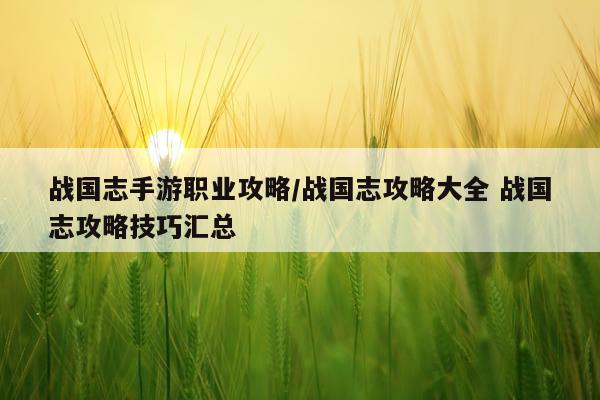 战国志手游职业攻略/战国志攻略大全 战国志攻略技巧汇总