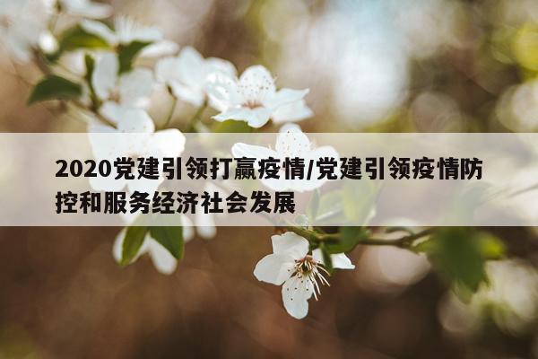 2020党建引领打赢疫情/党建引领疫情防控和服务经济社会发展
