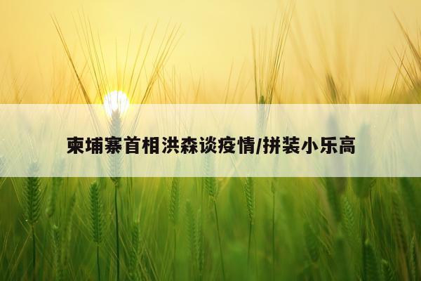柬埔寨首相洪森谈疫情/拼装小乐高