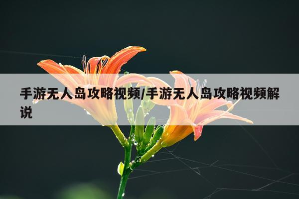 手游无人岛攻略视频/手游无人岛攻略视频解说